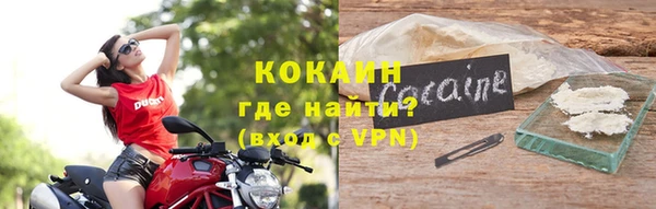 apvp Бородино
