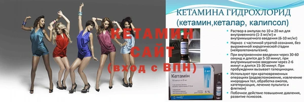 сатива Богородск