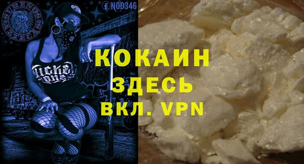 apvp Бородино